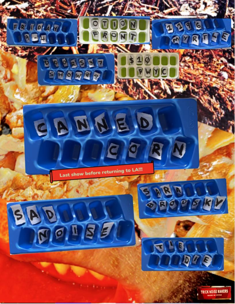 Nonstop Noise Fest 2026 flyer